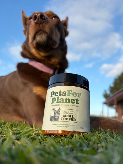 Carp Protein Powder — Meal Topper