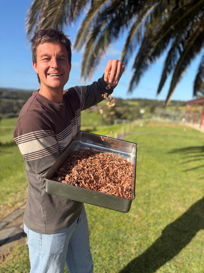Wild Carp Jerky Bites -