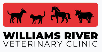 Williams River Vet Clinic
